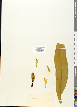 LE 01042189