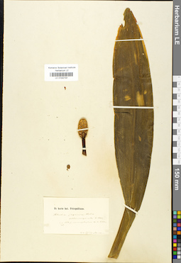 LE 01042191