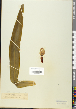 LE 01042193
