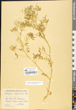 LE 01052130