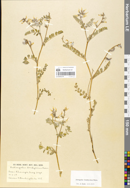 LE 01052170