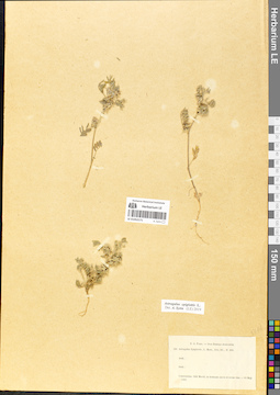 LE 01052171