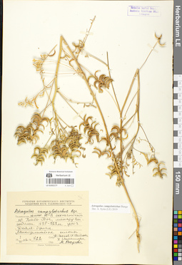 LE 01052177