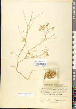 LE 01052178