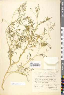 LE 01052179
