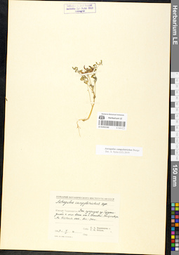 LE 01052182