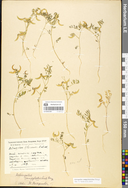 LE 01052183