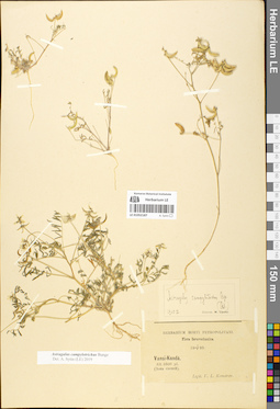 LE 01052187