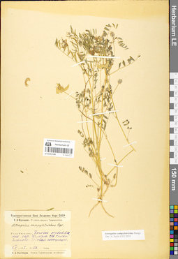 LE 01052188