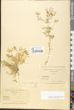 LE 01052190