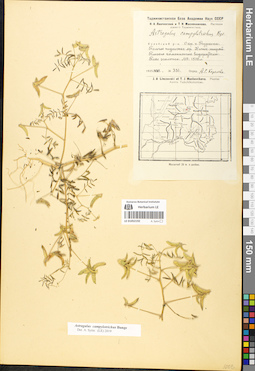LE 01052192