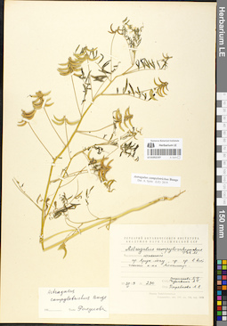 LE 01052197