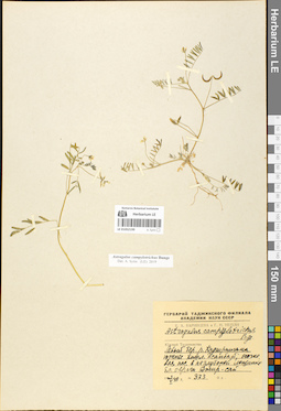 LE 01052199