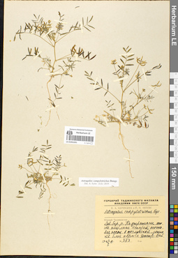 LE 01052201
