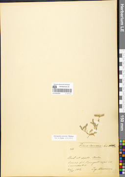 LE 01052204