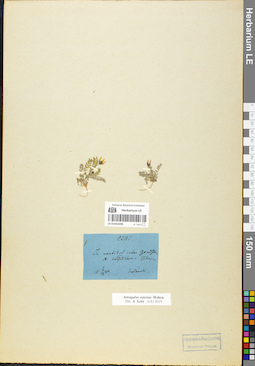 LE 01052205