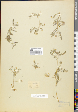 LE 01052208