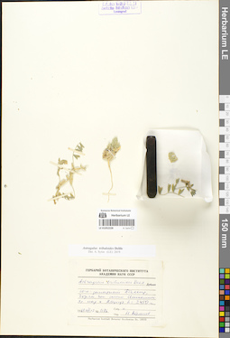 LE 01052228