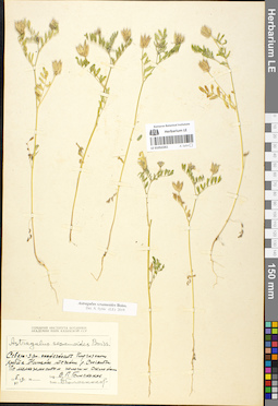 LE 01052261