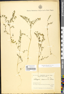 LE 01052264