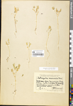 LE 01052267