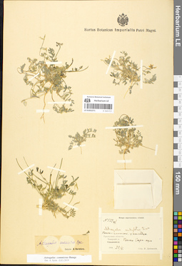 LE 01052271