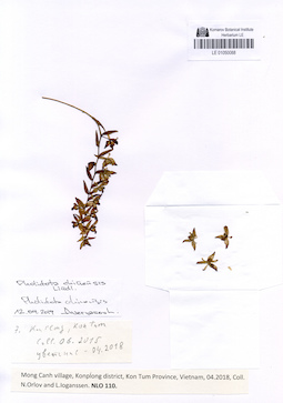 LE 01050088