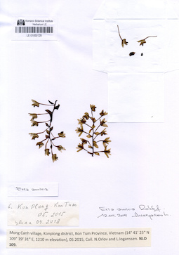 LE 01050128