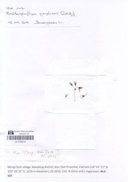 LE 01050118
