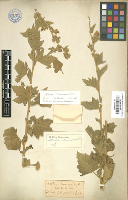 LE 01009490