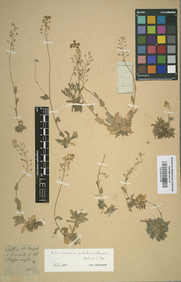 LE 01012775