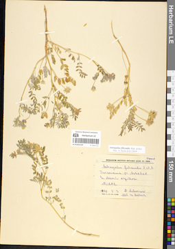 LE 01052103