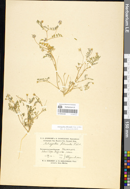LE 01052104