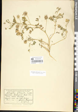 LE 01052105