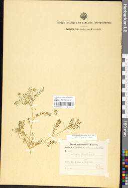 LE 01052107