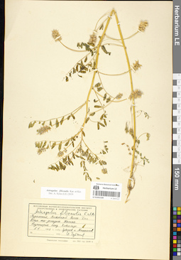 LE 01052109