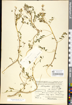 LE 01052111