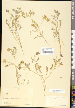 LE 01052120