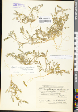 LE 01052234