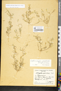 LE 01052237
