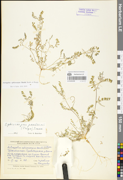 LE 01052240