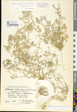 LE 01052404