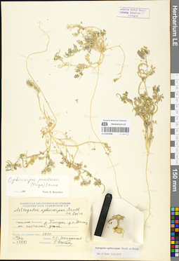 LE 01052408