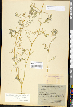 LE 01052409