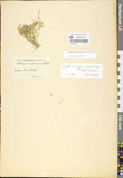 LE 01052410