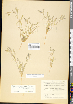 LE 01052419