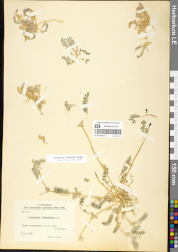 LE 01052427