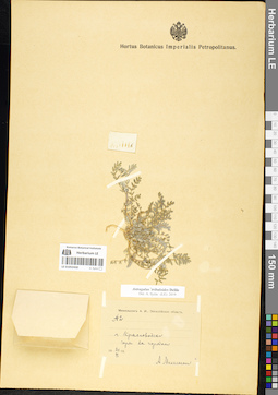 LE 01052430