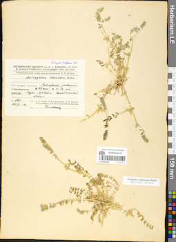 LE 01052441