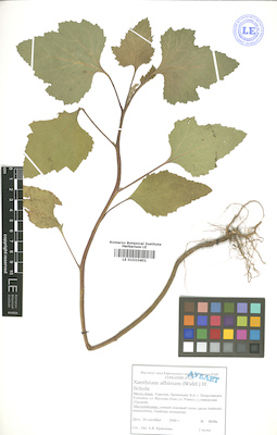 LE 01010401